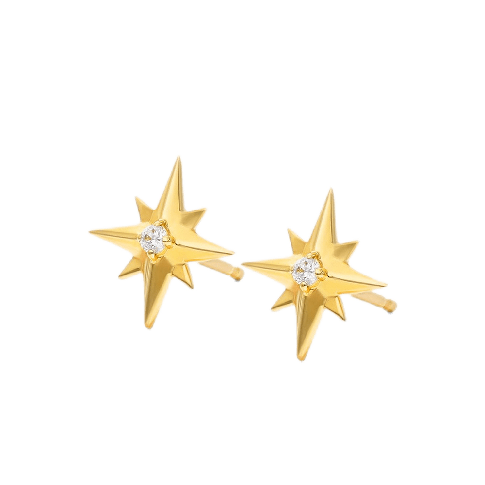 Guiding Star Ear Studs - Image 2